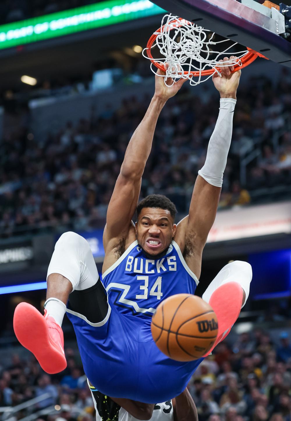 的菲尼克斯 的菲尼克斯